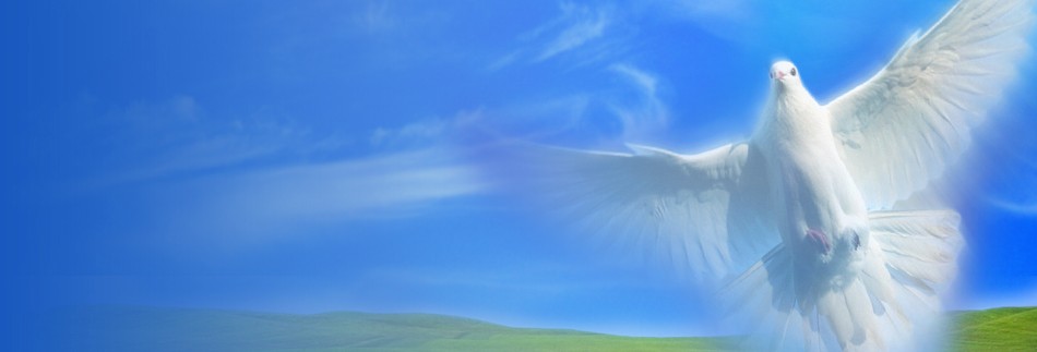 Holy Spirit Website Banner